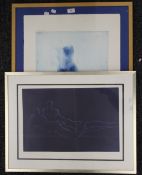 KNUT STEEN, artist's proof, Human Torso, signed to the margin, framed and glazed, 49.5 x 69.