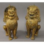 A pair of gilt bronze fo dogs. 41 cm high.