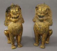 A pair of gilt bronze fo dogs. 41 cm high.