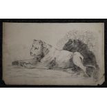 An early 19th century pencil drawing of a Lioness, indistinctly signed, dated 1813. 45 x 27 cm.