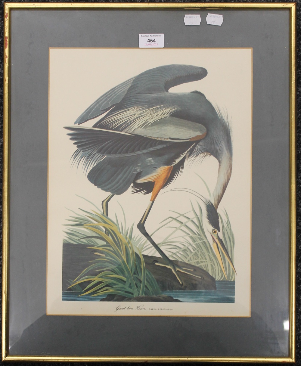 Great Blue Heron, print, framed and glazed. 30.5 x 40.5 cm.