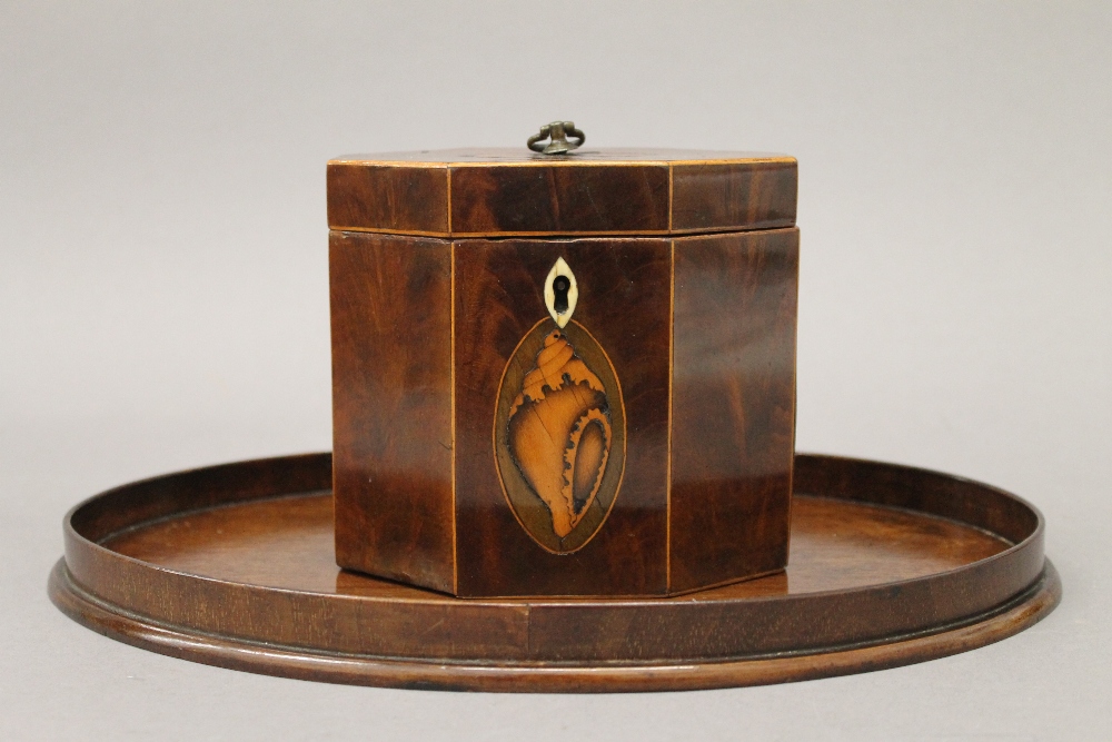 A George III mahogany octagonal tea caddy with shell inlay and a 19th century mahogany oval shell - Image 2 of 9