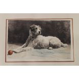 After HERBERT DICKSEE, etching of a dog, Ready. 55 x 35 cm.