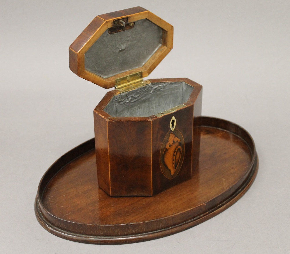 A George III mahogany octagonal tea caddy with shell inlay and a 19th century mahogany oval shell - Image 5 of 9