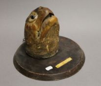 A mounted turtle head, dated 1906. 22 cm deep.