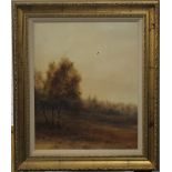 T LUKKIEN, Bird in Flight Over Woodland, oil on canvas, framed. 43 x 53 cm.