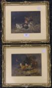 A pair of heightened prints of Chickens, framed and glazed. Each 21.5 x 16 cm.