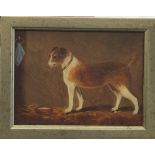 Terrier, oil on board, framed. 19 x 14 cm.