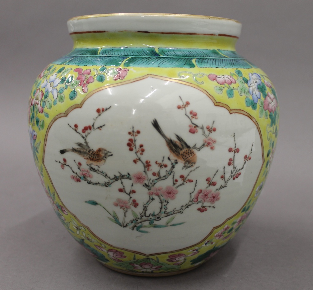 A Chinese famille jeune vase. 20 cm high. - Image 10 of 17