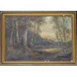 A 19th century Woodland Scene, oil on canvas, framed. 60 x 40 cm.