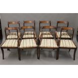 A set of eight modern 19th century style dining chairs. The carvers 53 cm wide.
