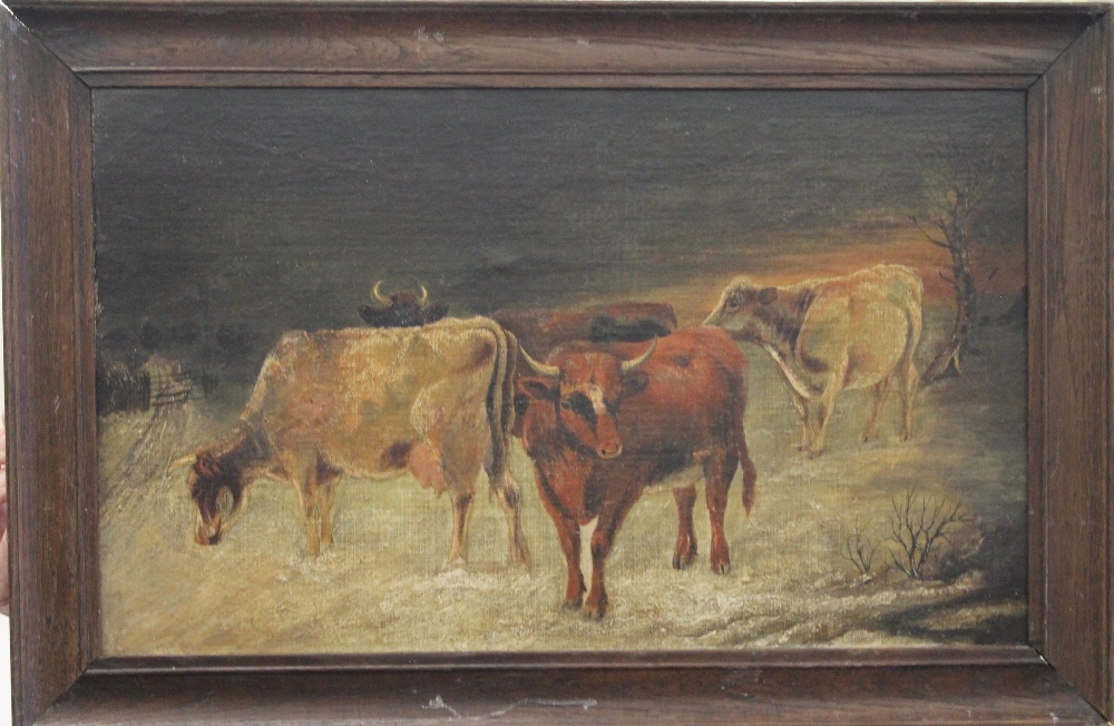 Cattle Grazing, oil on board, framed. 48.5 x 29 cm.