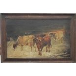 Cattle Grazing, oil on board, framed. 48.5 x 29 cm.