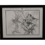 ANN BIGGS (20th/21st century) British, Blue Tits on Buddleia, pencil sketch, signed,