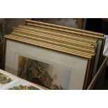 A large quantity of gilt framed 19th century prints, together with a quantity of uncut,