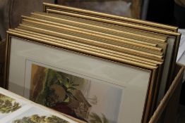 A large quantity of gilt framed 19th century prints, together with a quantity of uncut,