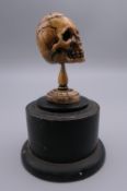 A 19th century memento mori bone skull, mounted on a display plinth. 8.5 cm high overall.