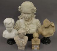 A small collection of various busts. The largest 38 cm high.