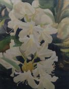 GER VAN DYCK, Rhododendron, 1996, watercolour, boxed framed. 111 x 142 cm overall.