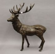 A bronze model of stag. 67 cm high.