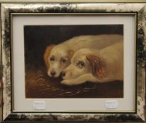 Dogs, oil on board, framed and glazed. 20 x 15 cm.