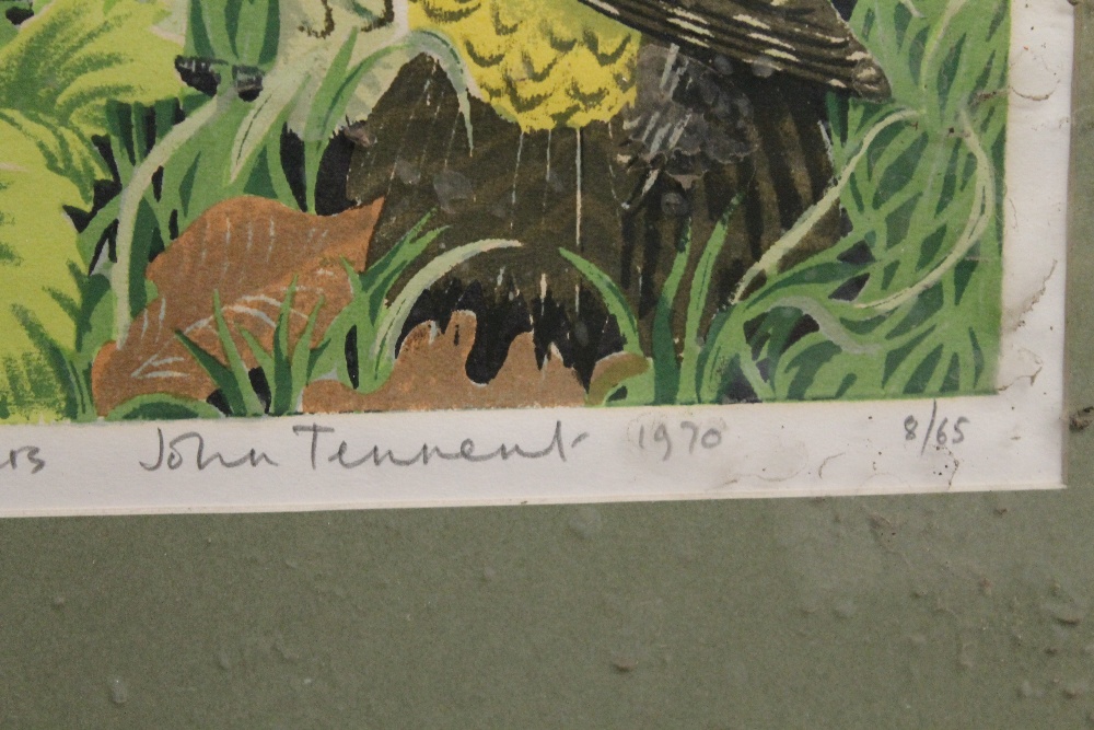 JOHN TENNENT, Green Woodpeckers, limited edition print, numbered 8/65, signed and dated 1970, - Image 3 of 5