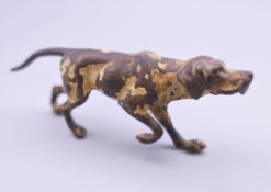 A cold painted bronze model of a pointer. 9 cm long.