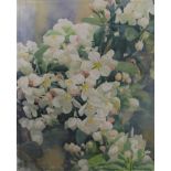 GER VAN DYCK, Apple Blossom, 1995, boxed framed. 82.5 x 102 cm overall.