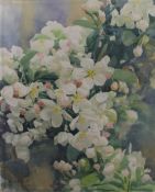 GER VAN DYCK, Apple Blossom, 1995, boxed framed. 82.5 x 102 cm overall.