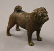 A bronze model of pug dog. 6 cm high.