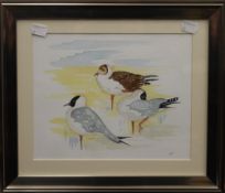 JACQUELINE O'MALLEY, Norfolk Artist, Birds, watercolour, framed and glazed. 24.5 x 19.5 cm.