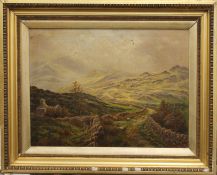 Welsh Landscape with Sheep, oil, signed FRED ROBERTSON, framed. 59.5 x 44.5 cm.