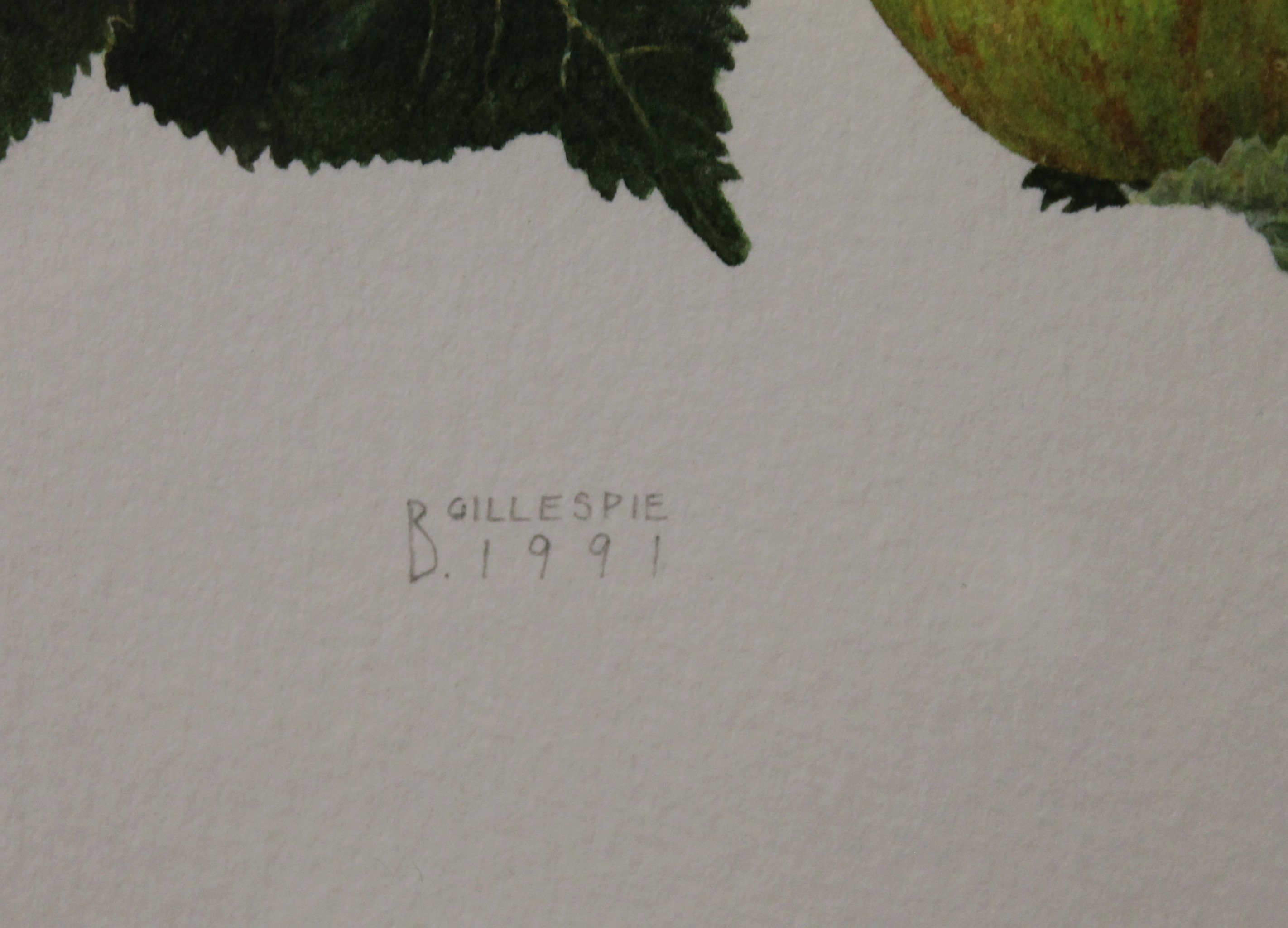 B GILLESPIE, Still Life of Apples, watercolour, signed and dated 1991, framed and glazed. 28.5 x 23. - Image 3 of 4