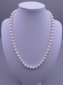 A string of pearls with well-matched beads, with a 14 K gold clasp. 45 cm long.