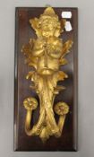 A 19th century ormolu wall mount formed as a cherub playing a trumpet, mounted on a wooden backing.