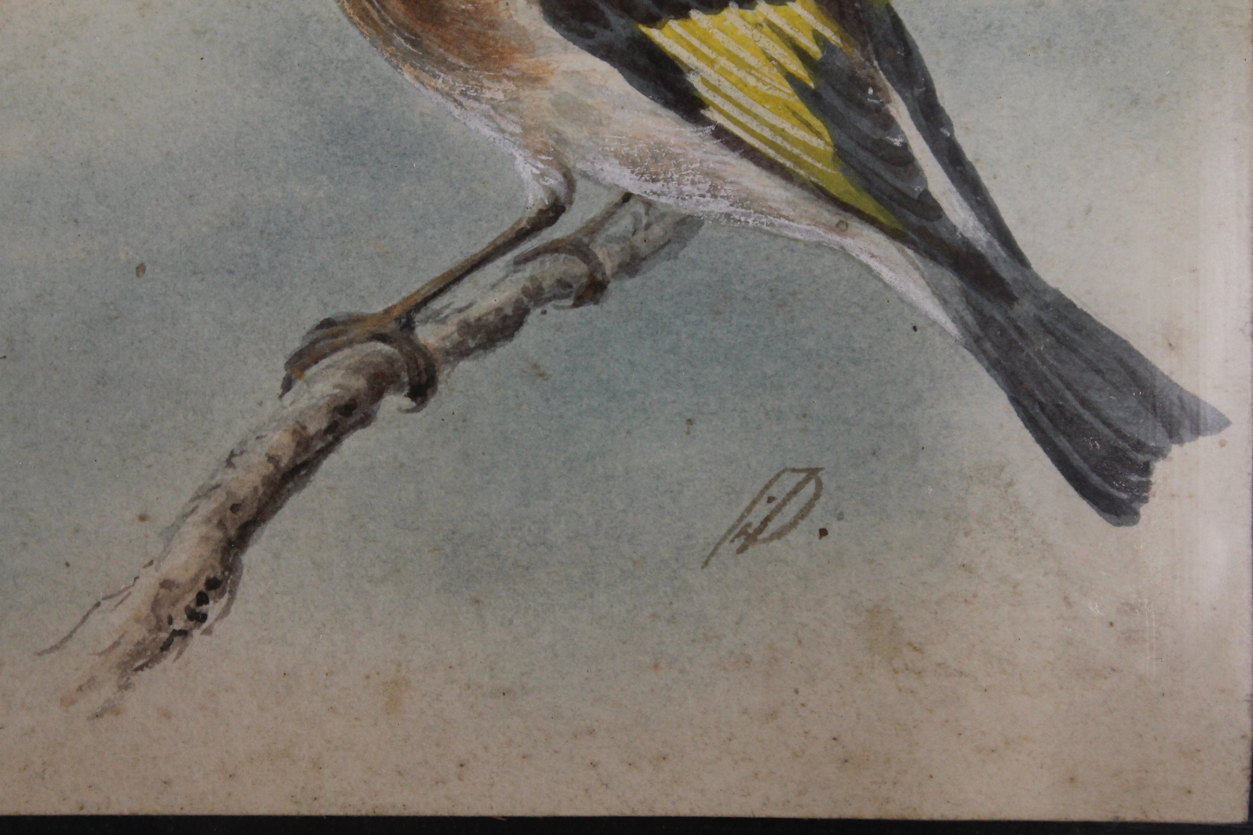 A 19th century watercolour, Two Blue Tits and a Goldfinch, indistinctly initialled, - Image 3 of 3