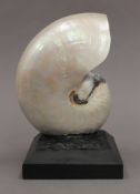 A nautilus shell mounted on a display stand. 18.5 cm high overall.