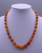 An amber bead necklace. Approximately 40 cm long. 14.5 grammes total weight.