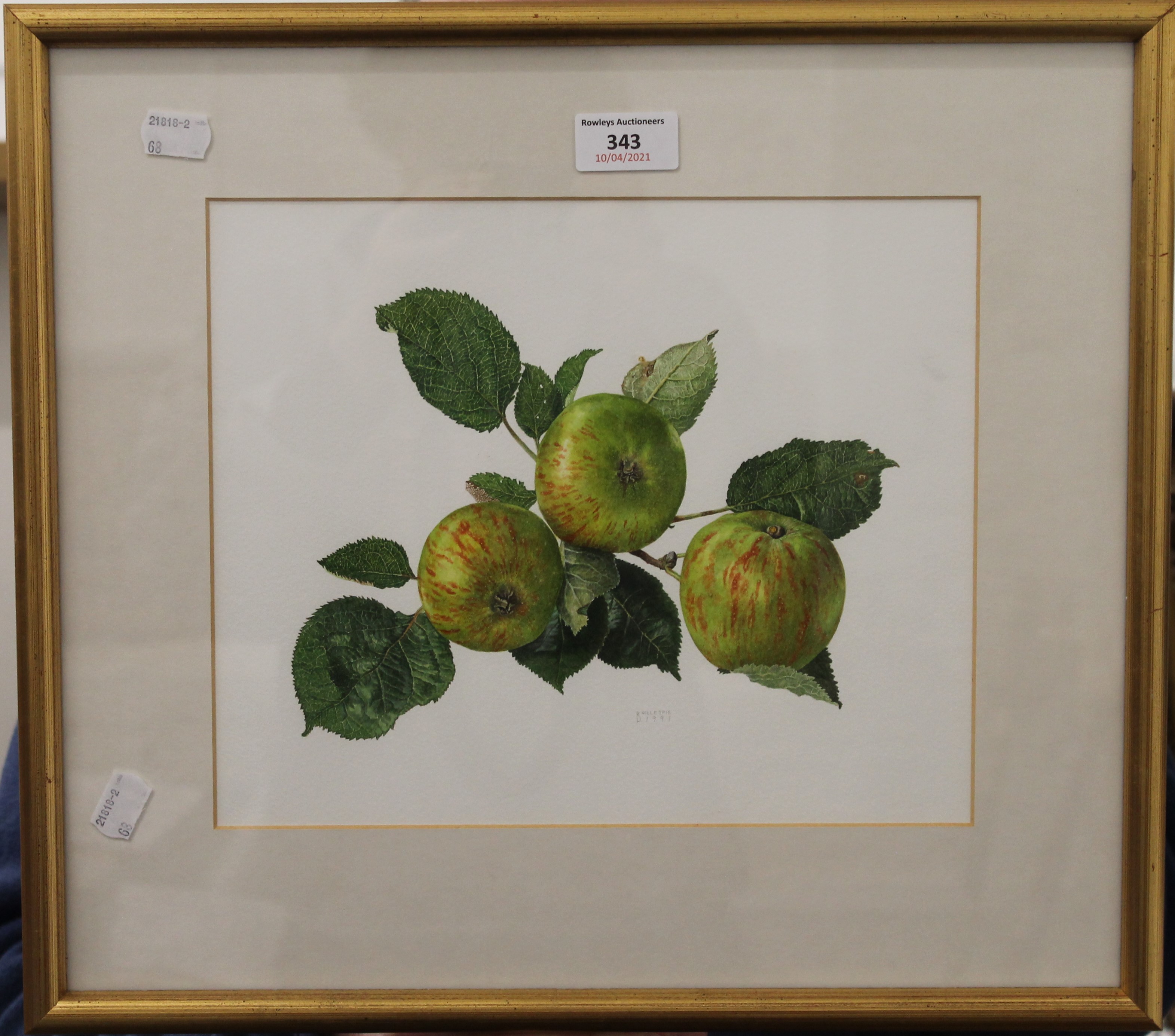 B GILLESPIE, Still Life of Apples, watercolour, signed and dated 1991, framed and glazed. 28.5 x 23. - Image 2 of 4