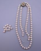 A 9 ct gold set pearl necklace, the clasp set with pearls and turquoise with some loose pearls.