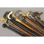 A large quantity of various walking sticks.