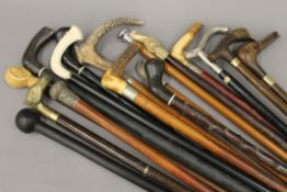 A large quantity of various walking sticks.