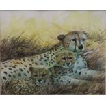 CHARLES CLIFFORD TURNER (1920-2018) British, Cheetah and Cubs, watercolour, signed,