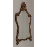 A carved framed wall glass. 109 cm high.