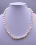 A pearl necklace with a 14 ct gold clasp