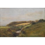 Country Stream, oil on canvas, indistinctly signed, framed. 44.5 x 29.5 cm.