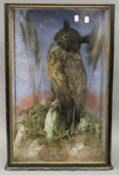 A Victorian preserved taxidermy specimen of a European Eagle Owl in a naturalistic setting,