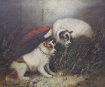 GEORGE ARMFIELD (1808-1893), Two Terriers Stalking a Rodent, oil on canvas, framed.