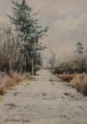 GERALDINE GREEN, Norfolk Artist, Country Path, watercolour, signed, framed and glazed. 17 x 24 cm.