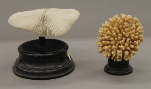 Two coral specimens, each mounted on a display plinth. The largest 16.5 cm high.